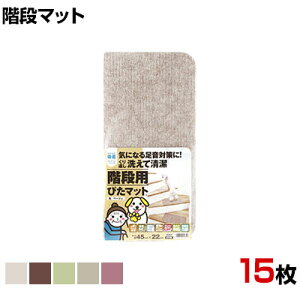 ^ix Kips^}bg SES ׂ~ 15 450×220×5mm K-4522