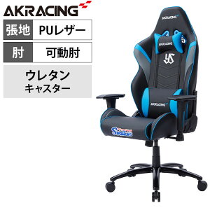 AKRacing(エーケーレーシング) OVERTURE 東京ヤクルトスワローズチェア ゲーミングチェア アームレスト ヘッドレスト ランバーサポート オフィスチェア