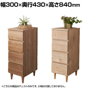 oebNEC^[iVi kLrlbgV[Y `FXg30^Cv i 300×s430×840mm