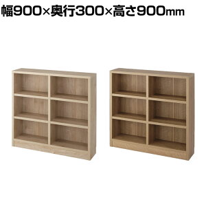 oebNEC^[iVi {IV[Y [^Cv gݗĎ90 900×s300×900mm