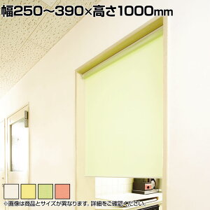 oebNEC^[iVi X[XN[ TCYI[_[ I\ 250`390mm ʃe[vt^Cv n É h L 1000mm