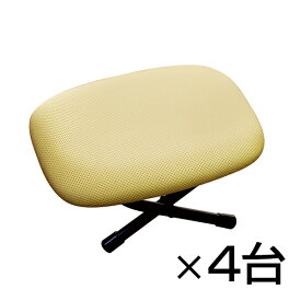 【まとめ買い】ローチェアー ローザ 4台セット 枕(2段階)&正座椅子 立体構造メッシュ 通気性 折りたたみ可能 完成品 日本製