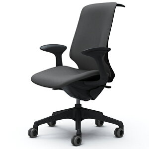 CT2DFA | XtBA Spher fUCA[ nCobN ubN{fB z[E^LX^[ ʉs߂Ȃ nK[t lbg | IJ ItBX`FA