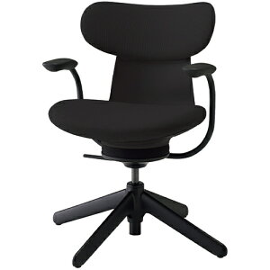 COCt ingLIFE ItBX`FA iCr(4{r) wF ŒI wNbV^Cv C05-B11CCL b RN ItBX`FAfXN`FA chair ֎q [N`FA CX SOHO e[