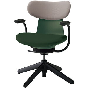 COCt ingLIFE ItBX`FA iCr(4{r) wʐF(w~fBAO[W) ŒI wNbV^Cv C05-B11CCL b RN ItBX`FAfXN`FA chair ֎q [N`F