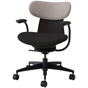 COCt ingLIFE ItBX`FA |E^LX^[ wʐF(w~fBAO[W) ŒI wNbV^Cv C05-B11CCU b RN ItBX`FAfXN`FA chair ֎q 