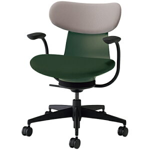 COCt ingLIFE ItBX`FA iCLX^[ wʐF(w~fBAO[W) ŒI wNbV^Cv C05-B11CCW b RN ItBX`FAfXN`FA chair ֎q [N`F