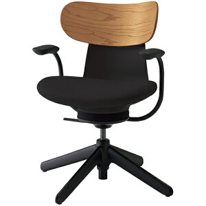 COCt ingLIFE ItBX`FA iCr(4{r) ŒI w(~fBAAbV)^Cv C05-B11CGL b RN ItBX`FAfXN`FA chair ֎q [N`FA CX SOHO e