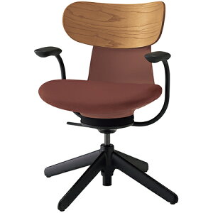 COCt ingLIFE ItBX`FA iCr(4{r) ŒI w(~fBAAbV)^Cv C05-B11CGL b RN ItBX`FAfXN`FA chair ֎q [N`FA CX SOHO e