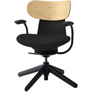 COCt ingLIFE ItBX`FA iCr(4{r) ŒI w(zCgAbV)^Cv C05-B11CGL b RN ItBX`FAfXN`FA chair ֎q [N`FA CX SOHO e