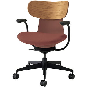 COCt ingLIFE ItBX`FA iCLX^[ ŒI w(~fBAAbV)^Cv C05-B11CGW b RN ItBX`FAfXN`FA chair ֎q [N`FA CX SOHO e