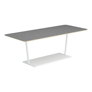 コクヨ リージョン ラウンジテーブル T字脚 ミドルテーブル 幅2100×奥行900×高さ724mm 角形 リノリウム天板 脚ホワイト LT-RG219MSAAF