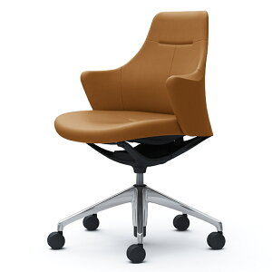 CD53BR | CuX [N`FA Lives Work Chair ItBX`FA ֎q [^Cv 5{r ubN{fB |bVr v (IJ)