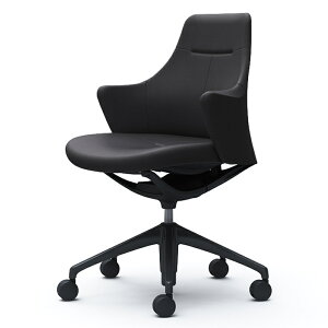 CD53MR | CuX [N`FA Lives Work Chair ItBX`FA ֎q [^Cv 5{r ubN{fB ubNr v (IJ)