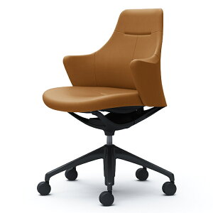 CD53MR | CuX [N`FA Lives Work Chair ItBX`FA ֎q [^Cv 5{r ubN{fB ubNr v (IJ)