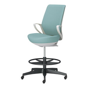 RN sRri picora livina nC^Cv nCobN z ubNr {̃zCgO[ SPփLX^[ ItBX`FA C10-B22CG-E1