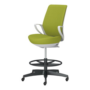 RN sRri picora livina nC^Cv nCobN z ubNr {̃zCgO[ SPփLX^[ ItBX`FA C10-B22CG-E1