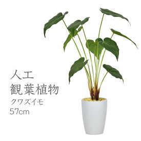 人工観葉植物 光触媒 クワズイモ57cm 水やり不要 高さ57 インテリアグリーン 観葉植物 造花クワズイモ57cm 送料無料