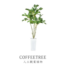 人工観葉植物 フェイクグリーン 観葉植物 コーヒーの木 インテリアグリーン 造花 光触媒 5号 鉢 水やり不要 インテリア おしゃれ お祝い 誕生日 出産内祝い お返し 結婚 父 母 男性 女性 彼氏 彼女 お祝い お礼 贈り物 プレゼント コーヒーツリー 送料無料