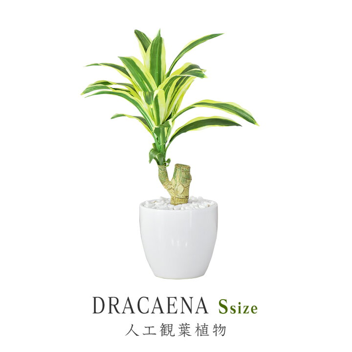 楽天市場 人工観葉植物 光触媒 ドラセナ 水やり不要 インテリアグリーン 観葉植物 造花ドラセナs 送料無料 Officedoris
