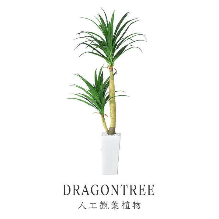 楽天市場 クーポン オフ 10 限定 人工観葉植物 フェイクグリーン 観葉植物 ドラゴンツリー 造花 光触媒 5号 鉢 水やり不要 インテリア おしゃれ お祝い 誕生日 出産内祝い お返し 結婚 父 母 男性 女性 彼氏 彼女 お祝い お礼 贈り物 プレゼント ドラゴンツリー