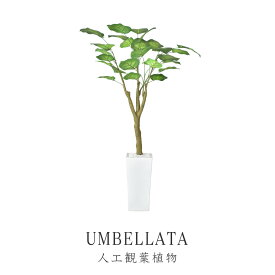 【10％OFFクーポン★4/28 0時～4/29 24時】 人工観葉植物 光触媒 ウンベラータ 水やり不要 インテリアグリーン 観葉植物 造花ウンベラータ 送料無料