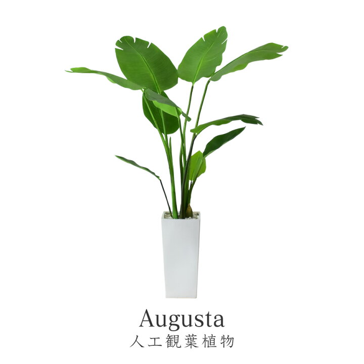 楽天市場 7 15限定 クーポン10 オフ 人工観葉植物 フェイクグリーン 観葉植物 ストレリチア オーガスタ 造花 光触媒 5号 鉢 水やり不要 インテリア おしゃれ お祝い 誕生日 出産内祝い お返し 結婚 父 母 男性 女性 彼氏 彼女 お祝い お礼 贈り物 プレゼント
