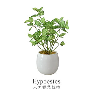 lHϗtA tFCNO[ ϗtA q|GXeX  G}  sv CeA  j a oYj Ԃ    j  ގ ޏ j  