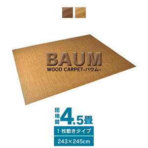 EbhJ[ybg 4.5 cn cn 245×243 CN tH[ J[ybg  t[OJ[ybg DIY Ebh  a uE CguE oE245×243 V  