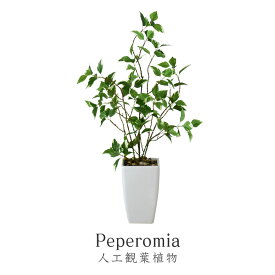 楽天市場 ペペロ 種類 触媒加工 光触媒 造花 人工観葉植物 花 観葉植物 花 ガーデン Diyの通販