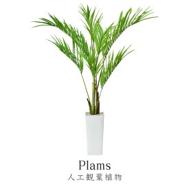 楽天市場 人工観葉植物 種類 植物 プラム 造花 人工観葉植物 花 観葉植物 花 ガーデン Diyの通販 楽天市場 人工観葉植物 種類 植物 プラム 造花 人工観葉植物 花 観葉植物 花 ガーデン Diyの通販
