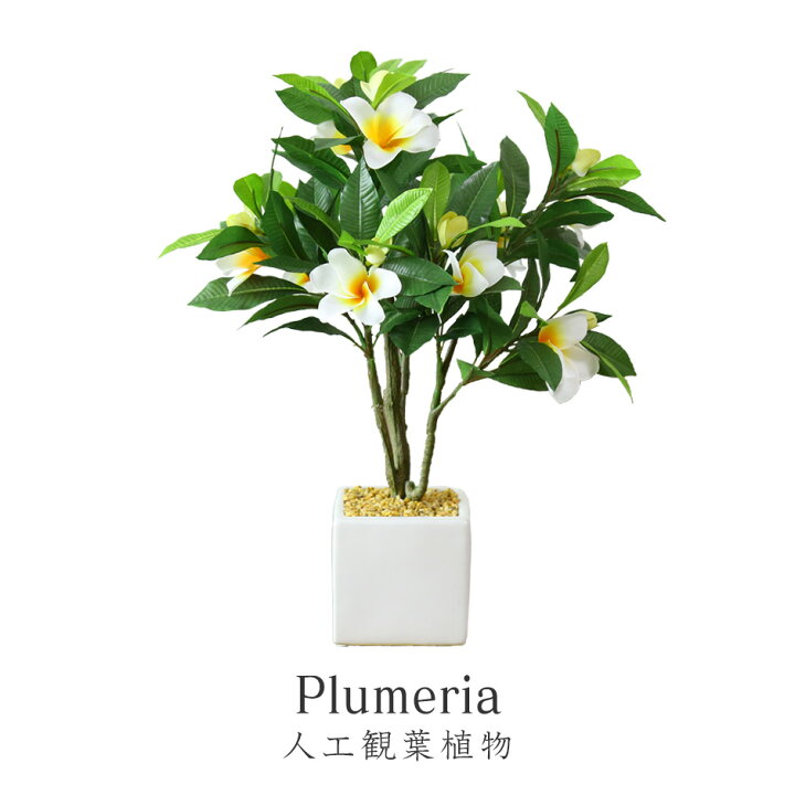 楽天市場 観葉植物 人工観葉植物 水やり不要 インテリアグリーン フェイクグリーン プルメリア 送料無料 Officedoris