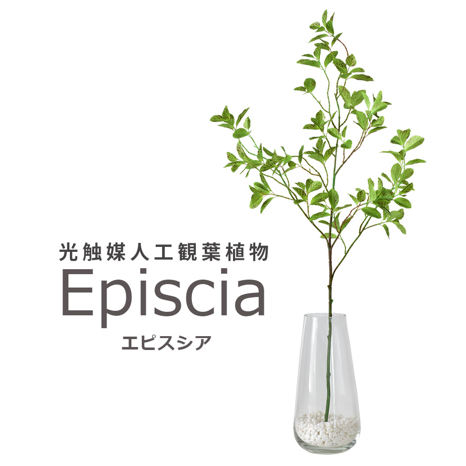 人工観葉植物 光触媒 エピスシア ガラス鉢 水やり不要 インテリアグリーン 観葉植物 造花 新生活応援 送料無料