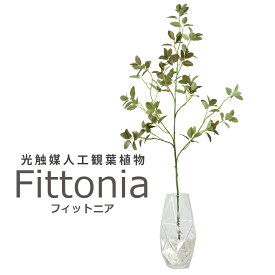 人工観葉植物 光触媒 フィットニア（ガラス鉢） 水やり不要 インテリアグリーン 観葉植物 造花フィットニア（ガラス鉢）送料無料