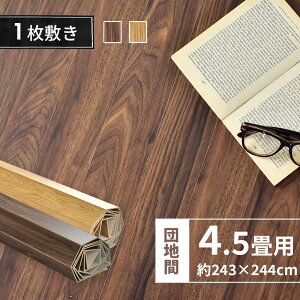 EbhJ[ybg 4.5 cn cn 243×244 CN tH[ J[ybg  t[OJ[ybg DIY Ebh  a k uE i` \x245243 V  
