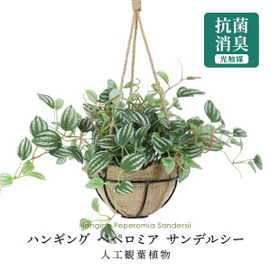 lHϗtA G} K[fO[EnMO sv 25 CeAO[ ϗtA  hL E R  ЂRt ݂ yy~A TfV[43cm