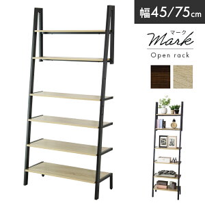 オープンラック 幅45 収納 ラック 幅75 木製 リビング 収納 本棚 フリーラック 多目的 収納棚 キャビネット おしゃれ 北欧 扉 棚 チェスト シェルフ ディスプレイラック リビング収納 オープン