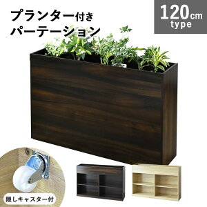 [ Ԏd؂ ItBX ڎ 120 s30 80  p[e[V ՗  v^[ {bNX eBX ϗtA p[eBV Lb`[ rO {I  }K 