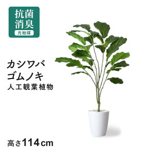 lHϗtA tFCNO[ ϗtA SmL CeAO[  G} 5  sv CeA  j a oYj Ԃ    j  ގ 