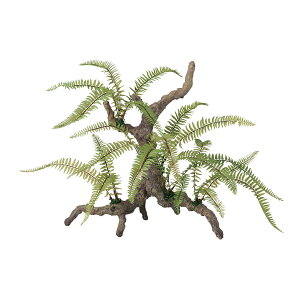 tFCNO[y \[ht@ X^vEbh z45 × s45 × 38cmItBXO[ ϗtA tFCN lHϗtA  AW  ݂  u 