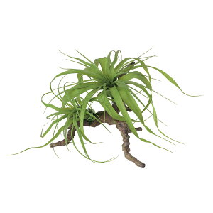 tFCNO[y `WA X^vEbh z50 × s35 × 25cmItBXO[ ϗtA tFCN lHϗtA  AW  ݂  u 