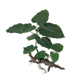 tFCNO[y Ex[^ X^vEbh z45 × s35 × 40cmItBXO[ ϗtA tFCN lHϗtA  AW  ݂  u 