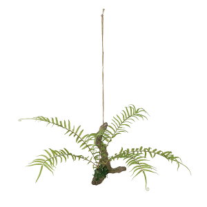 tFCNO[y qEV_ nMOAW z45 × s40 × 20cmi50cmjItBXO[ ϗtA tFCN lHϗtA  AW  ݂  u 