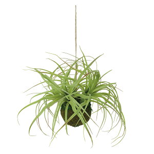 tFCNO[y `WA X{[ z30 × s30 × 23cmi43cmjItBXO[ ϗtA tFCN lHϗtA  AW  ݂  u 