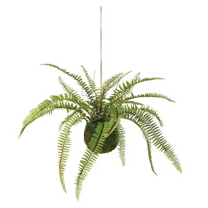 tFCNO[y \[ht@ X{[ z40 × s40 × 25cmi50cmjItBXO[ ϗtA tFCN lHϗtA  AW  ݂  u 