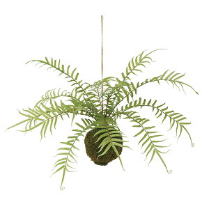 tFCNO[y \[ht@ nMOAW z30 × s25 × 25cmi60cmjItBXO[ ϗtA tFCN lHϗtA  AW  ݂  u 