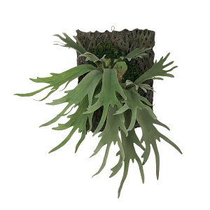 tFCNO[y RE fR z55 × s35 × 55cmItBXO[ ϗtA tFCN lHϗtA  AW  ݂  u 