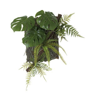 tFCNO[y Xe fR z55 × s20 × 60cmItBXO[ ϗtA tFCN lHϗtA  AW  ݂  u 