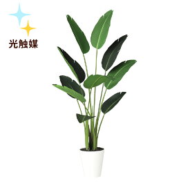 楽天市場 人工観葉植物 種類 植物 オーガスタ 造花 人工観葉植物 花 観葉植物 花 ガーデン Diyの通販