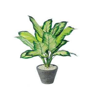 tFCNO[y fBtFoMAJ~[ z40 × s40 × 50cmItBXO[ ϗtA tFCN lHϗtA  JƏj JXj ړ]j Vzj 蕨 